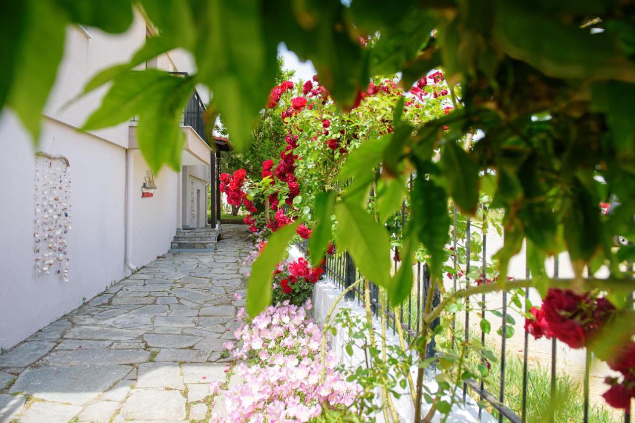 Dili Apartments Ierissos Dış mekan fotoğraf
